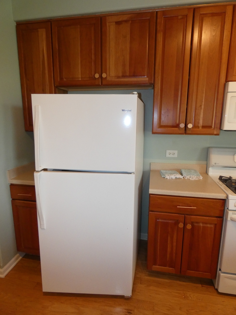1761 Pavilion Way, Unit 301 Park Ridge, IL 60068 - Photo 11 of 36