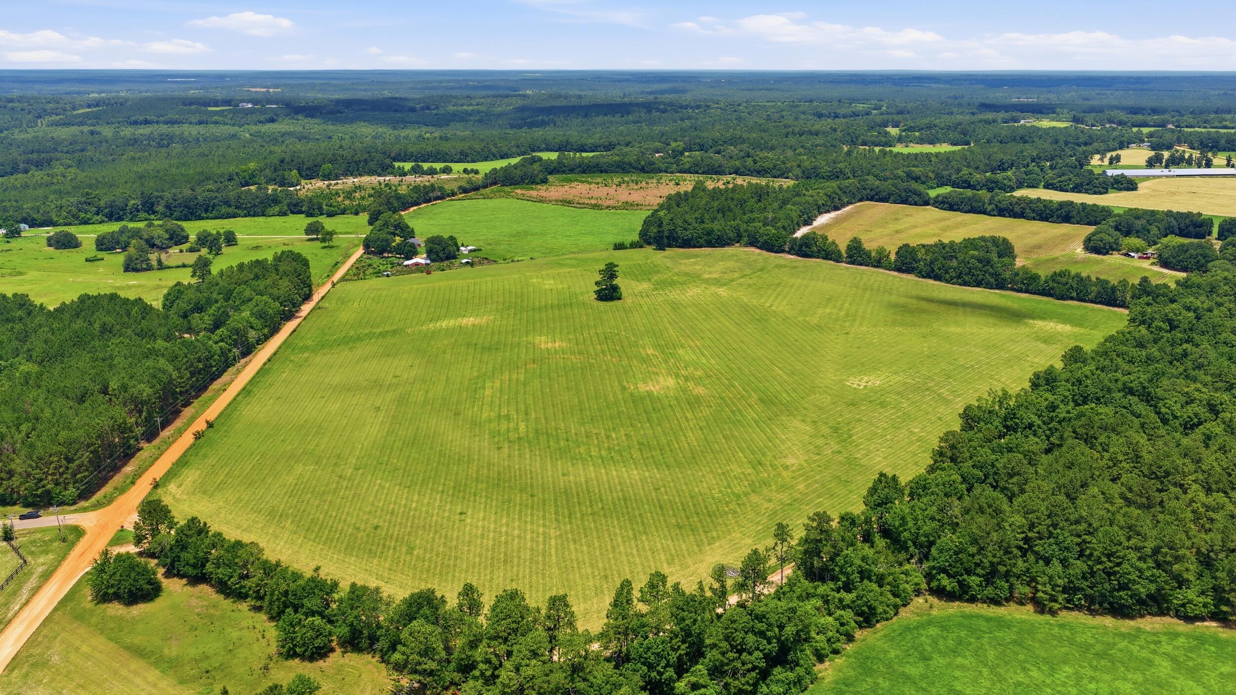 0 Bodie Road Wagener, SC 29164 - Photo 12 of 21