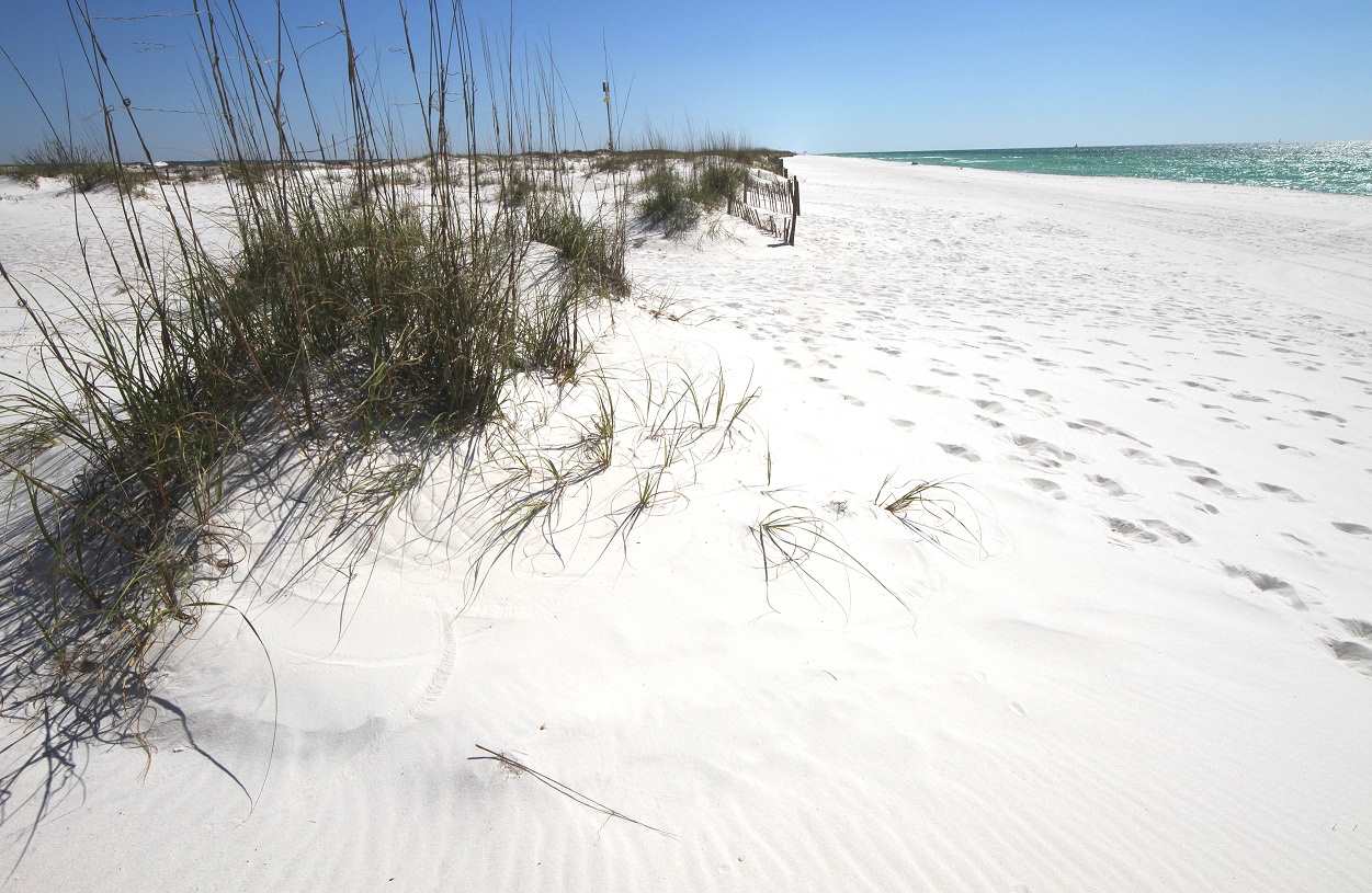 31820 River Road Orange Beach, AL 36561 - Photo 10 of 10