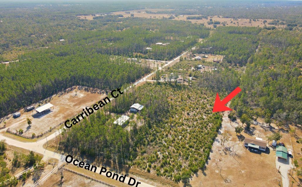 Tbd Ocean Pond Road Perry, FL 32348 - Photo 4 of 9