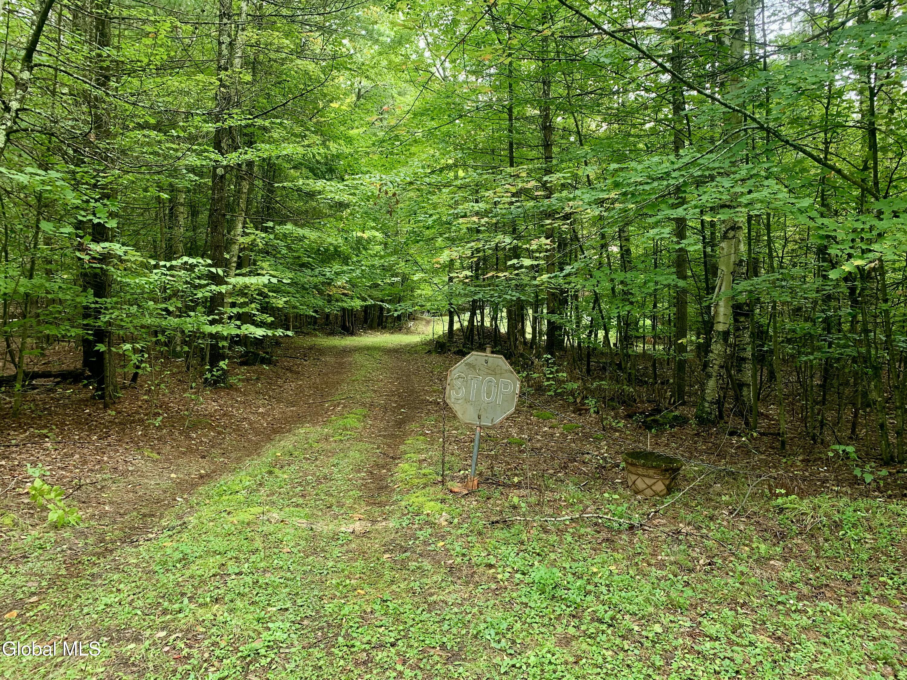 372 High Pine Meadows Road Fulton, NY 12122 - Photo 23 of 23 2F86AC0A-B8F4-4B9C-A6FE-E33720663C5A_1_2