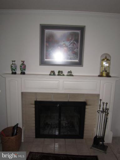 2238 Fairland Road Silver Spring, MD 20904 - Photo 22 of 30 Fireplace