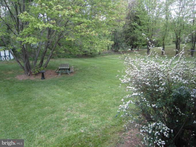 2238 Fairland Road Silver Spring, MD 20904 - Photo 28 of 30 Back yard