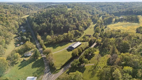 a view of a big room with a big yard and large trees