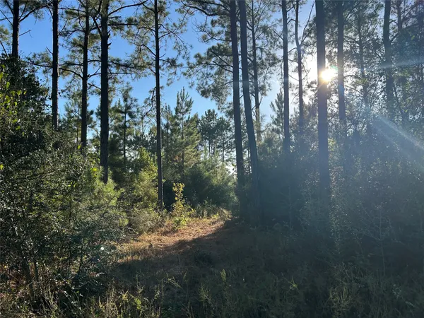 $269,000 | 11 Fm 230, Lovelady, TX 75851