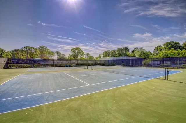 a view of a tennis ground with large trees