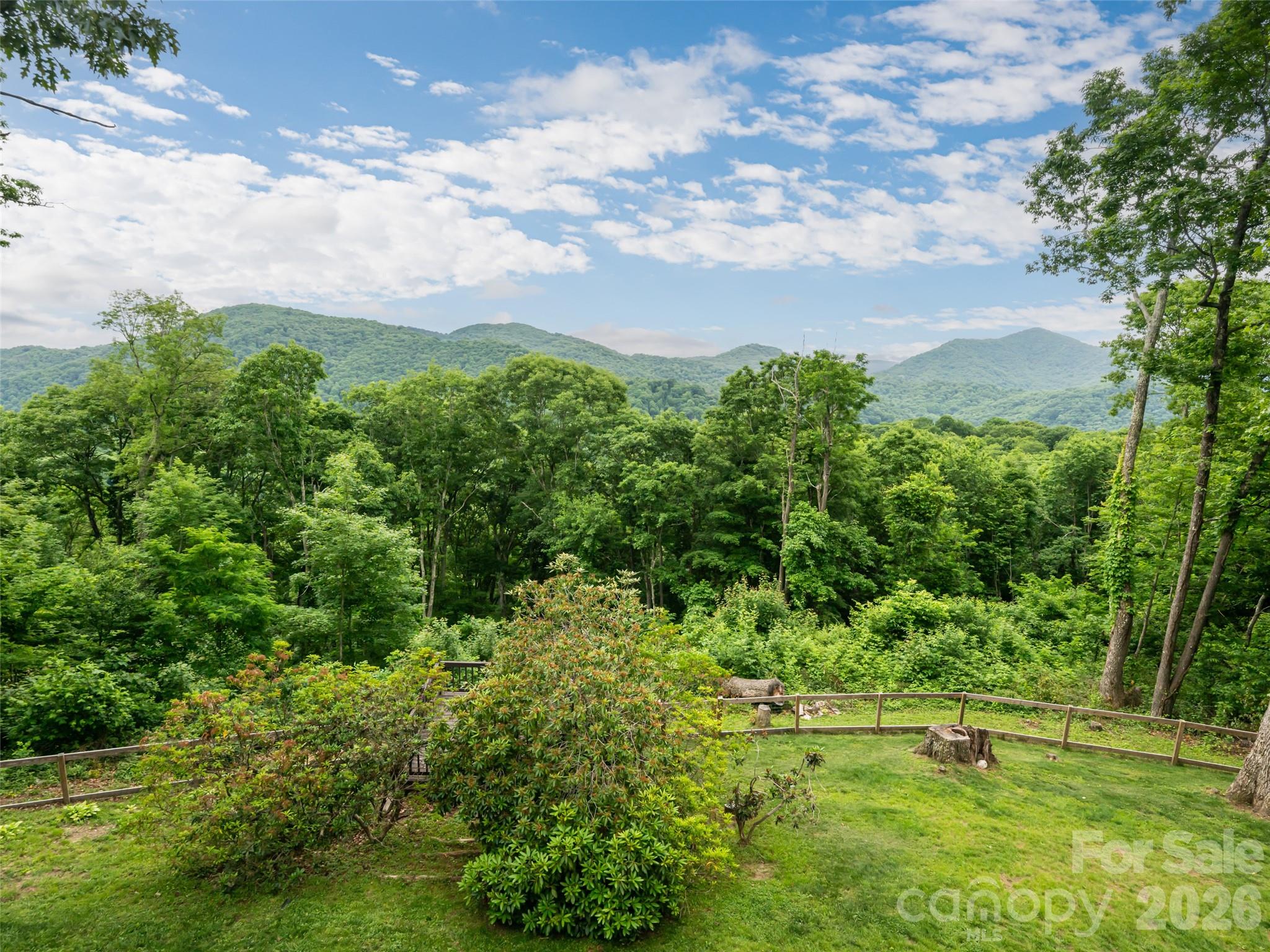 243 Pioneer Ridge Road Canton, NC 28716 - Photo 3 of 47