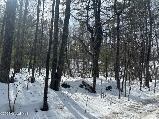 $60,000 | L11.127 Hogback Road, Crown Point, NY 12928