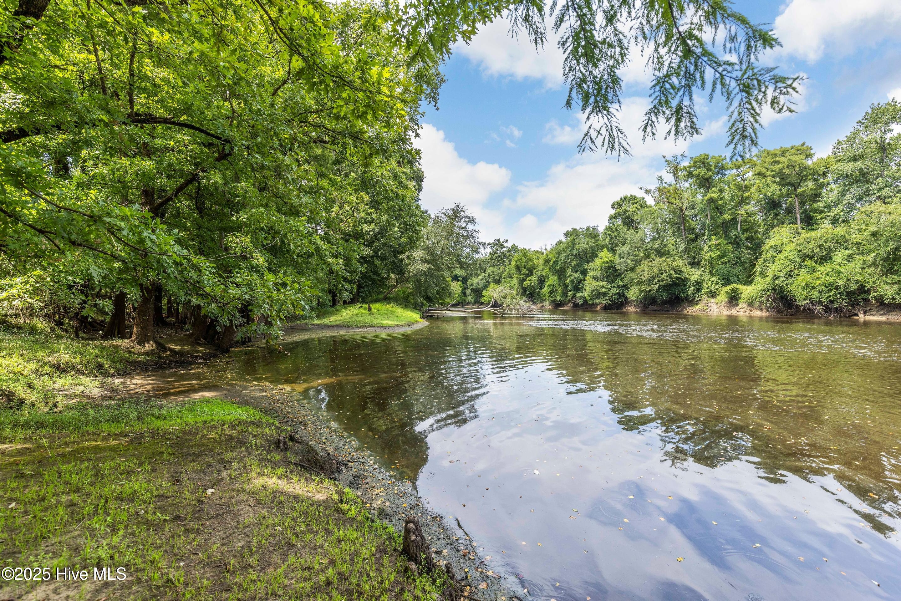 4-11 Croomsbridge Road Burgaw, NC 28425 - Photo 5 of 11 NE Cape Fear River