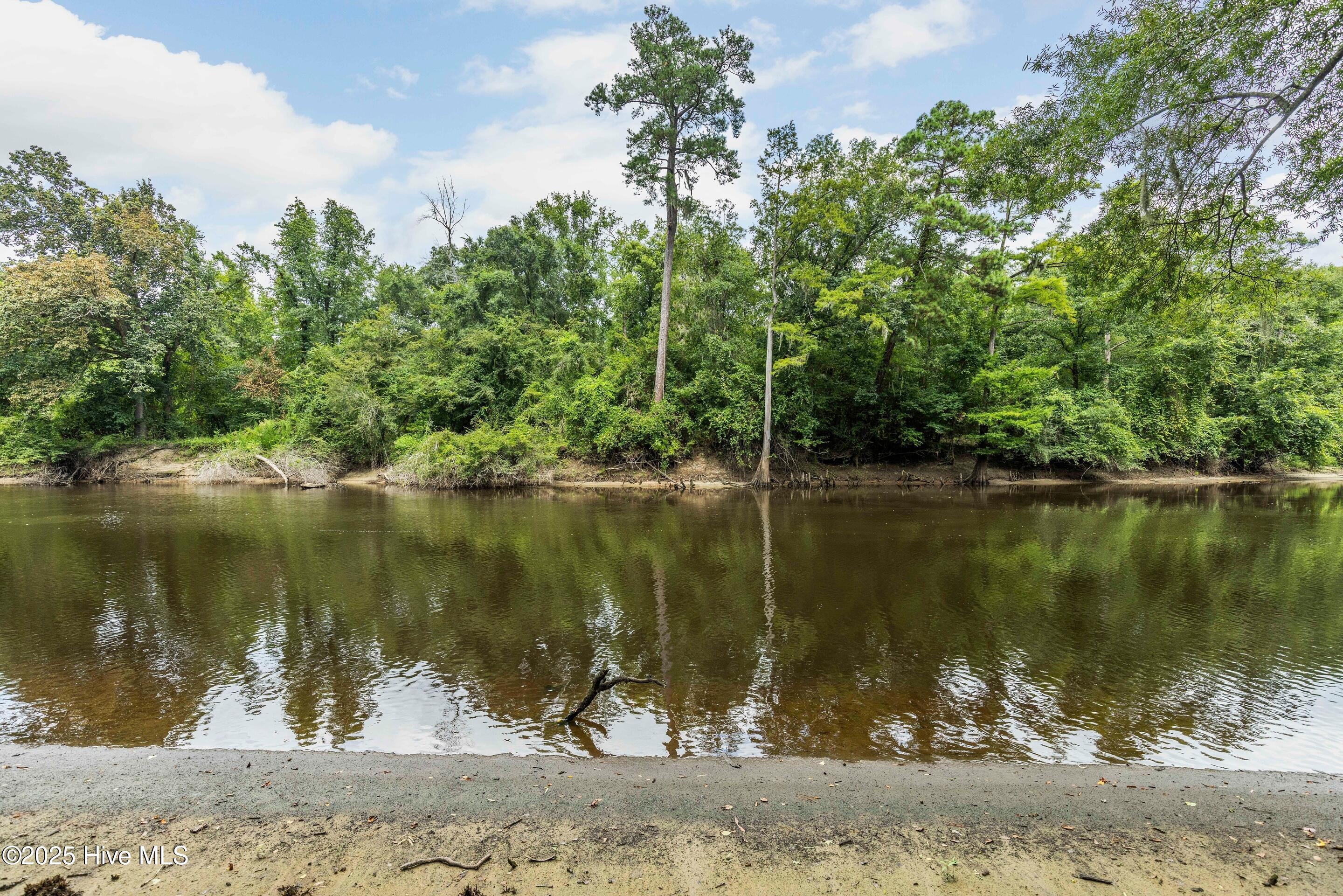 4-11 Croomsbridge Road Burgaw, NC 28425 - Photo 6 of 11 NE Cape Fear River