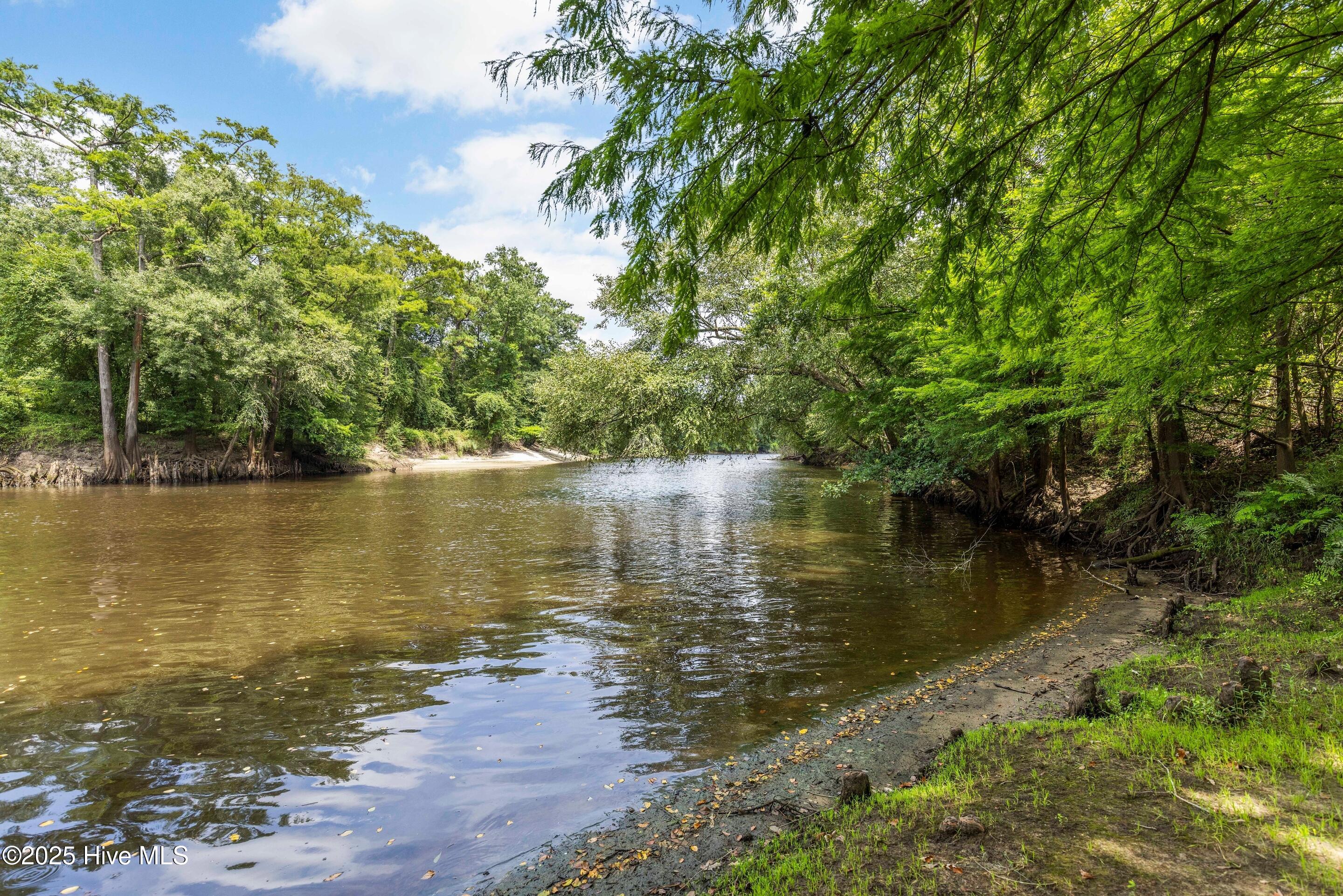 4-11 Croomsbridge Road Burgaw, NC 28425 - Photo 7 of 11 NE Cape Fear River