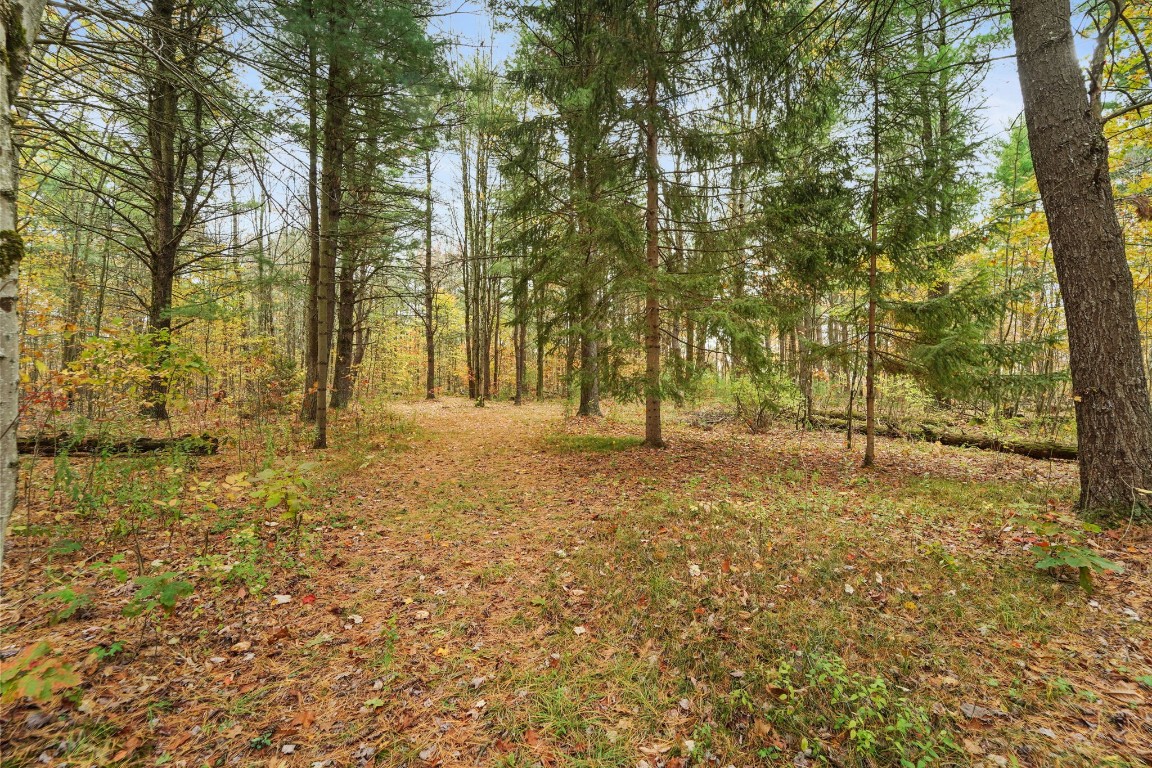 551 Honeypot Road Candor, NY 13743 - Photo 41 of 50