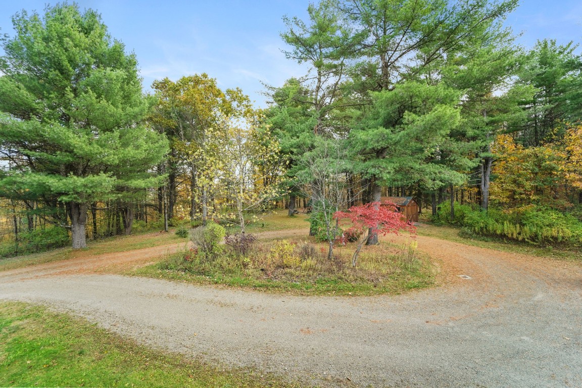 551 Honeypot Road Candor, NY 13743 - Photo 43 of 50