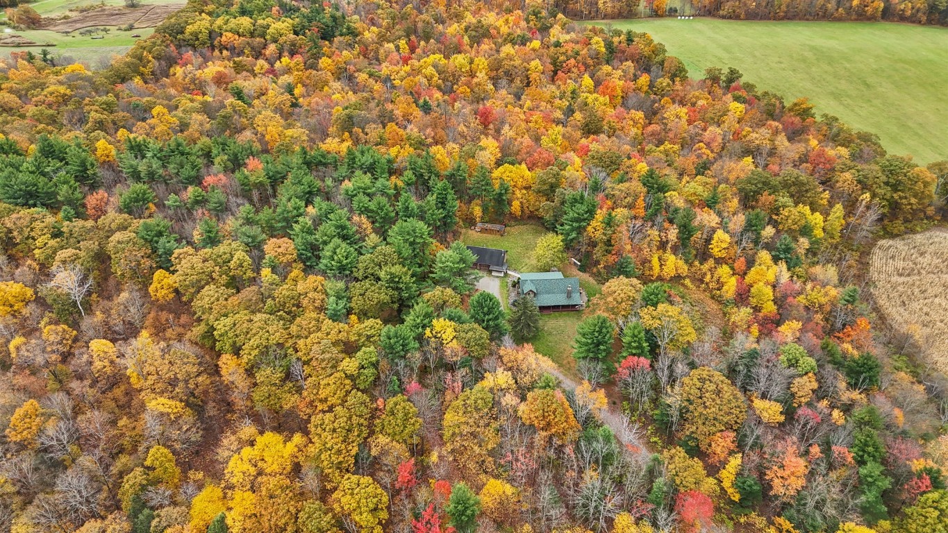 551 Honeypot Road Candor, NY 13743 - Photo 44 of 50