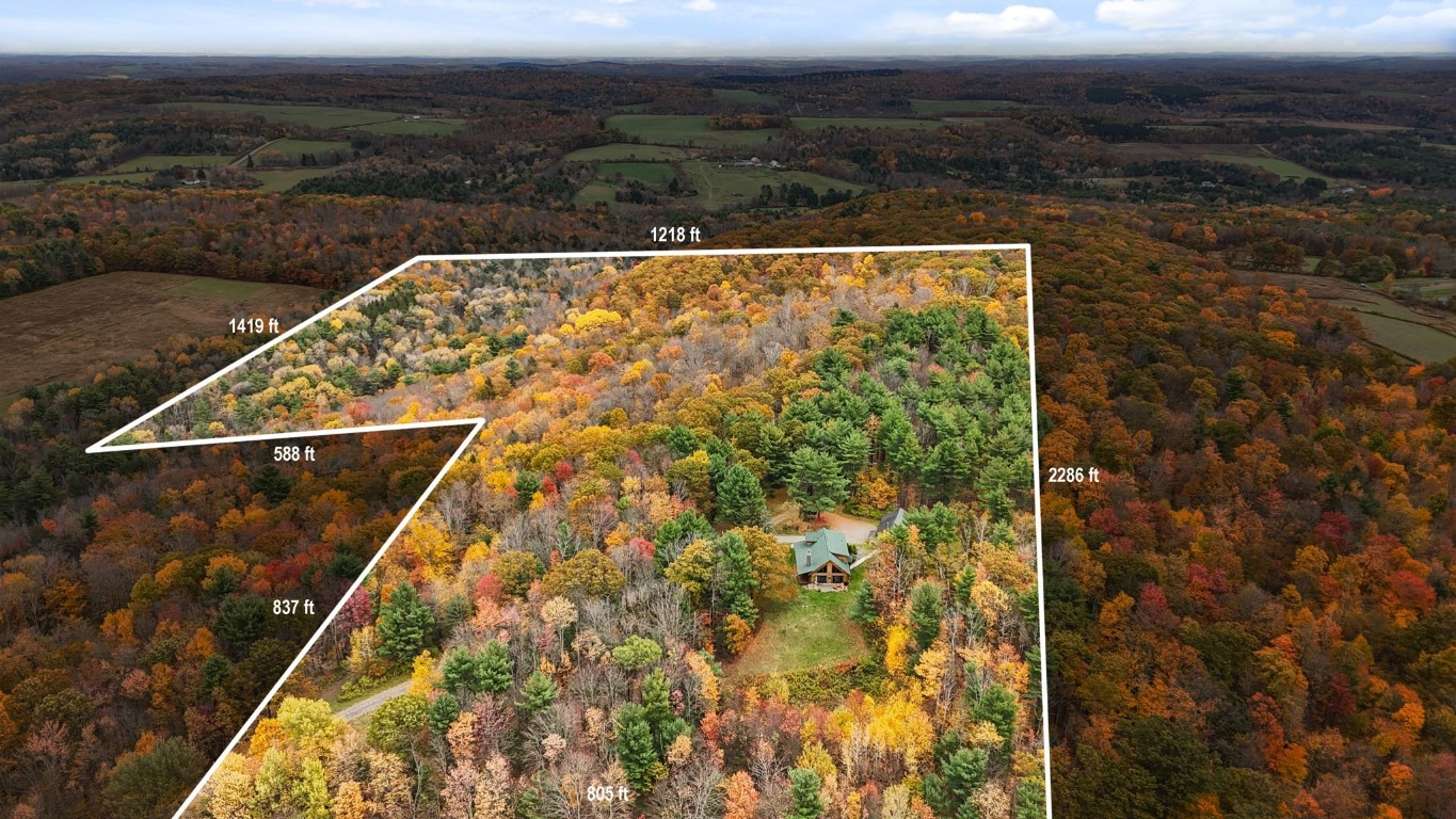 551 Honeypot Road Candor, NY 13743 - Photo 45 of 50