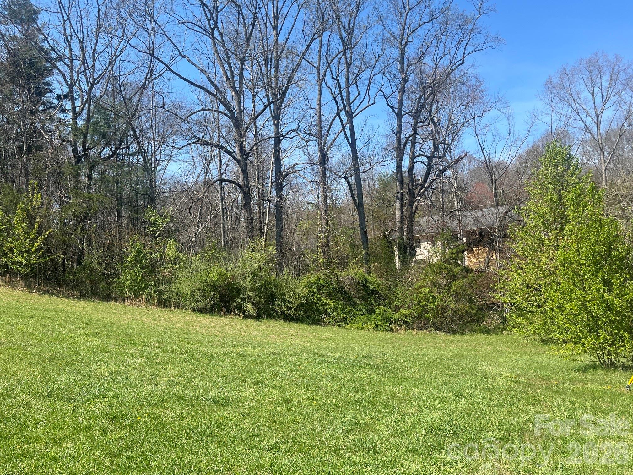 0 Chestnut Gap Road Hendersonville, NC 28792 - Photo 6 of 9 Gallery Image 6