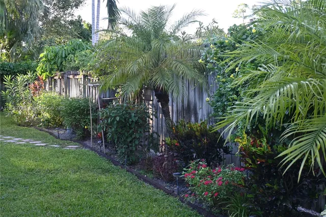 a view of a yard with plants and large trees