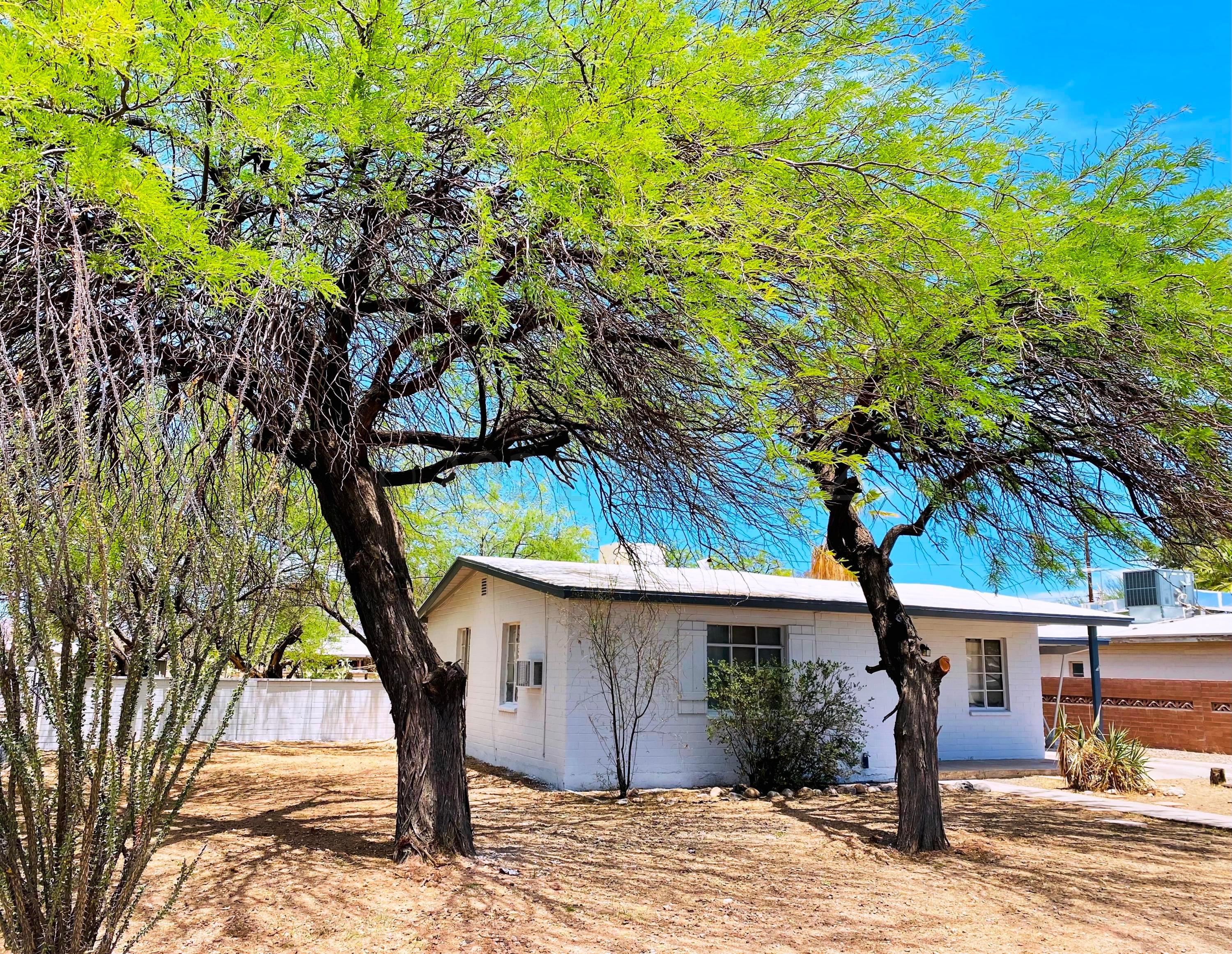 3341 East 30th Street Tucson, AZ 85713 - Photo 14 of 14