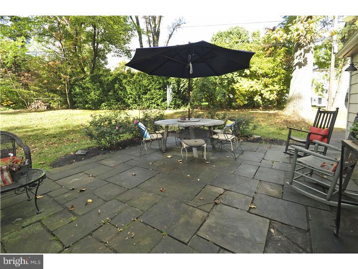 920 Delene Road Jenkintown, PA 19046 - Photo 14 of 25 Patio