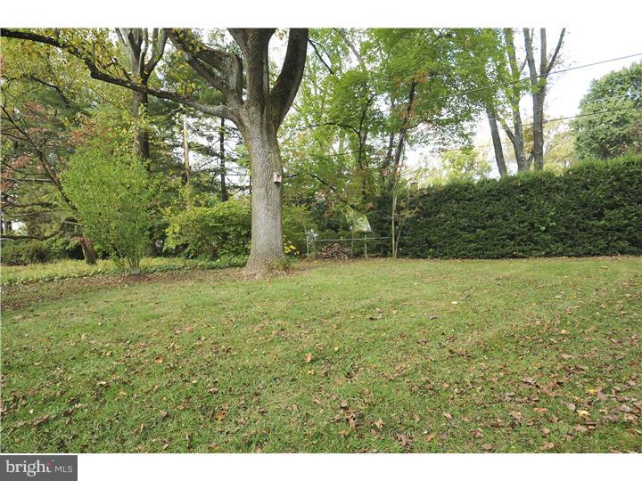 920 Delene Road Jenkintown, PA 19046 - Photo 16 of 25 Back Yard