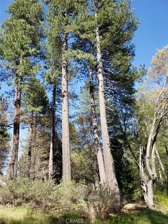 $35,950 | 29531 Little Bear Creek Road, Cedar Glen, CA 92321