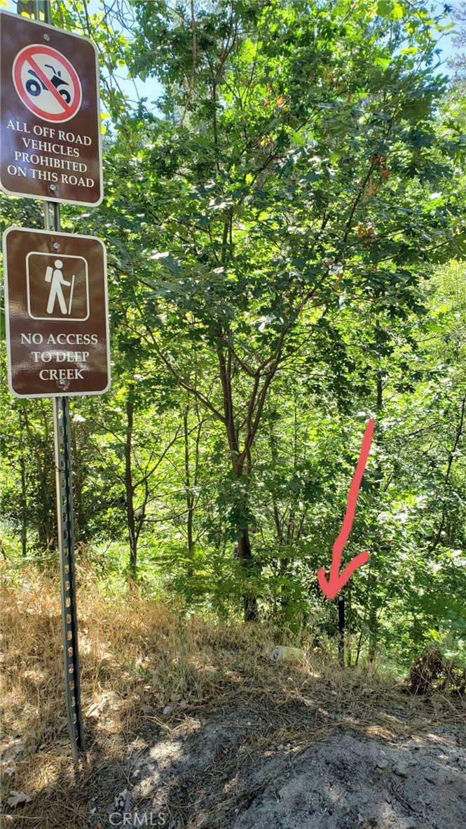 29531 Little Bear Creek Road Cedar Glen, CA 92321 - Photo 6 of 13 a view of outdoor space with signage