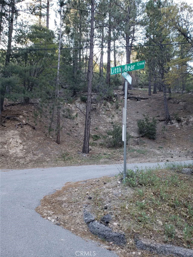 29531 Little Bear Creek Road Cedar Glen, CA 92321 - Photo 10 of 13 a view of a forest filled with trees
