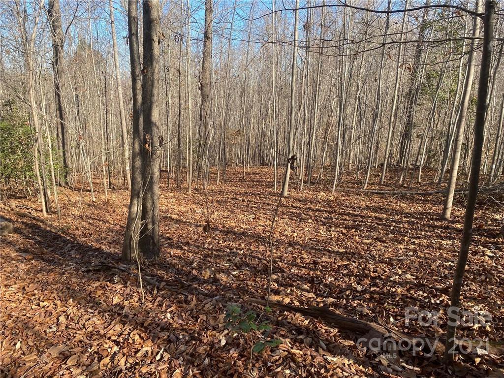 3062 Shell Hollar Road Claremont, NC 28610 - Photo 1 of 9 Gallery Image 1