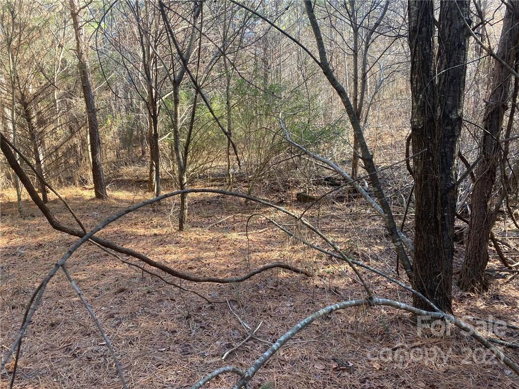 3062 Shell Hollar Road Claremont, NC 28610 - Photo 3 of 9 Gallery Image 3