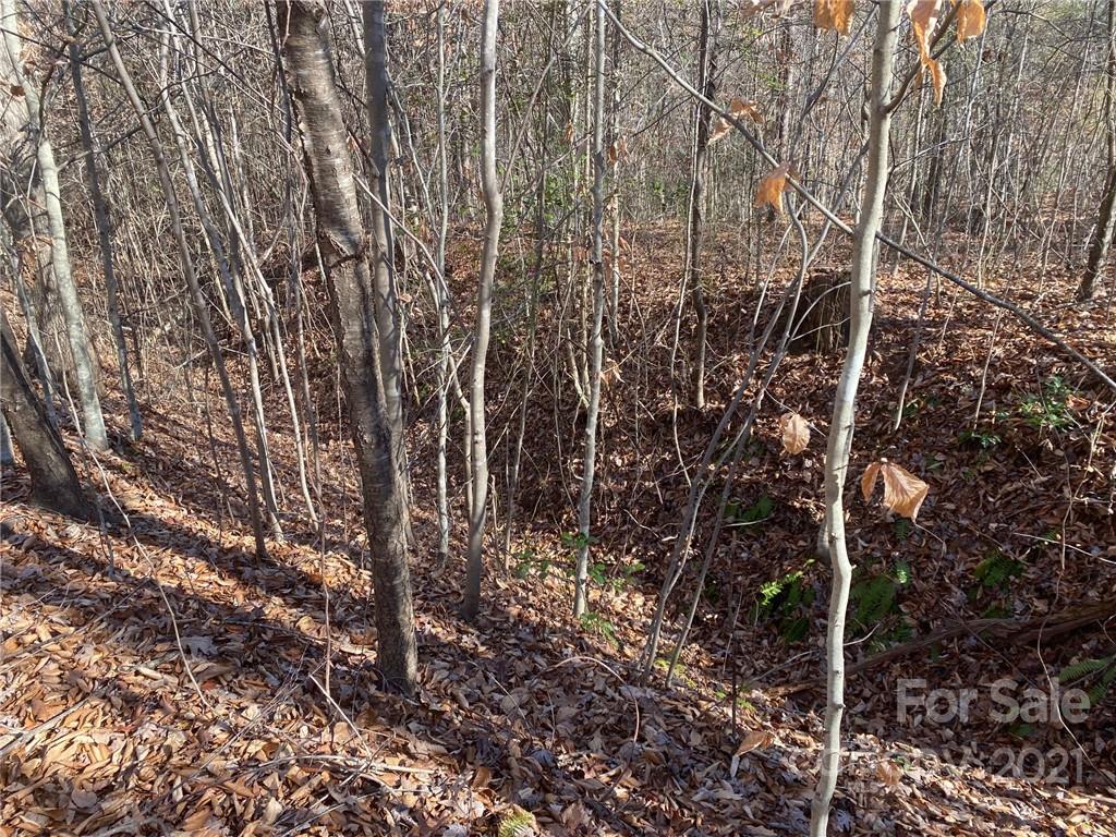 3062 Shell Hollar Road Claremont, NC 28610 - Photo 4 of 9 Gallery Image 4