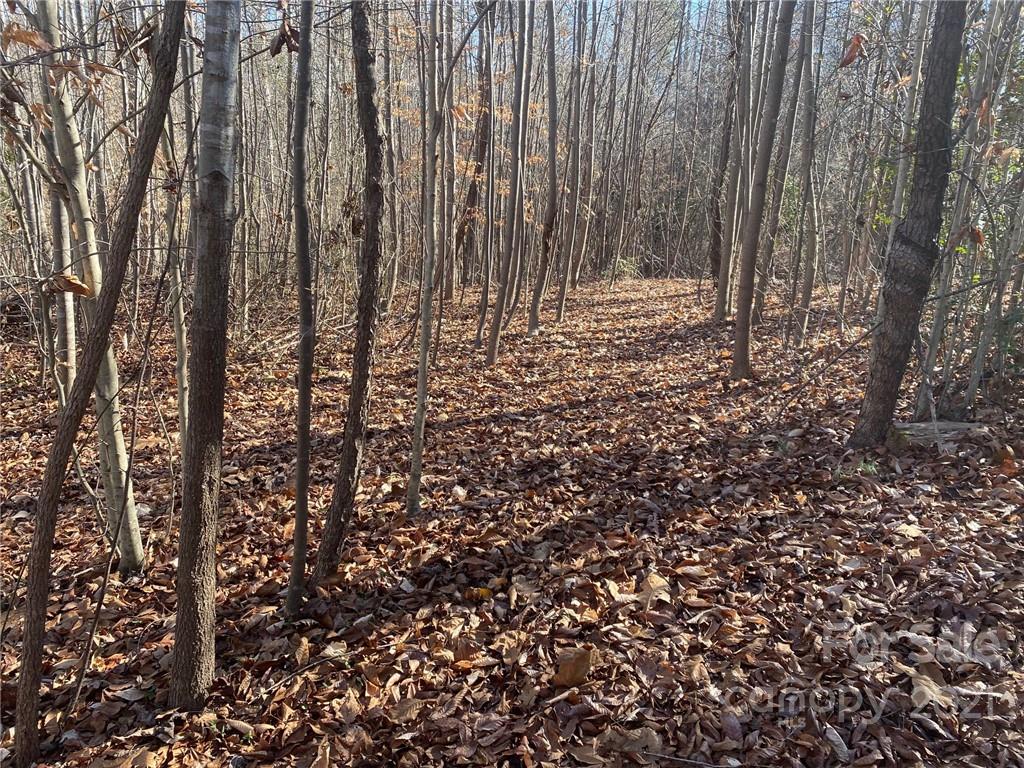 3062 Shell Hollar Road Claremont, NC 28610 - Photo 7 of 9 Gallery Image 7