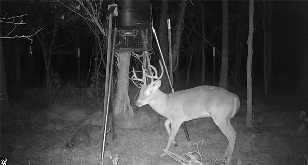 $259,000 | 0 Bear Bottom Drive, Wharton, TX 77488