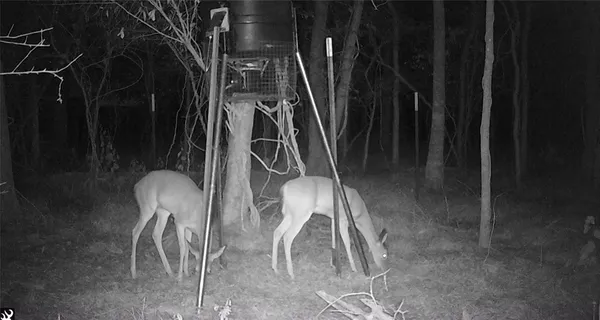 $259,000 | 0 Bear Bottom Drive, Wharton, TX 77488