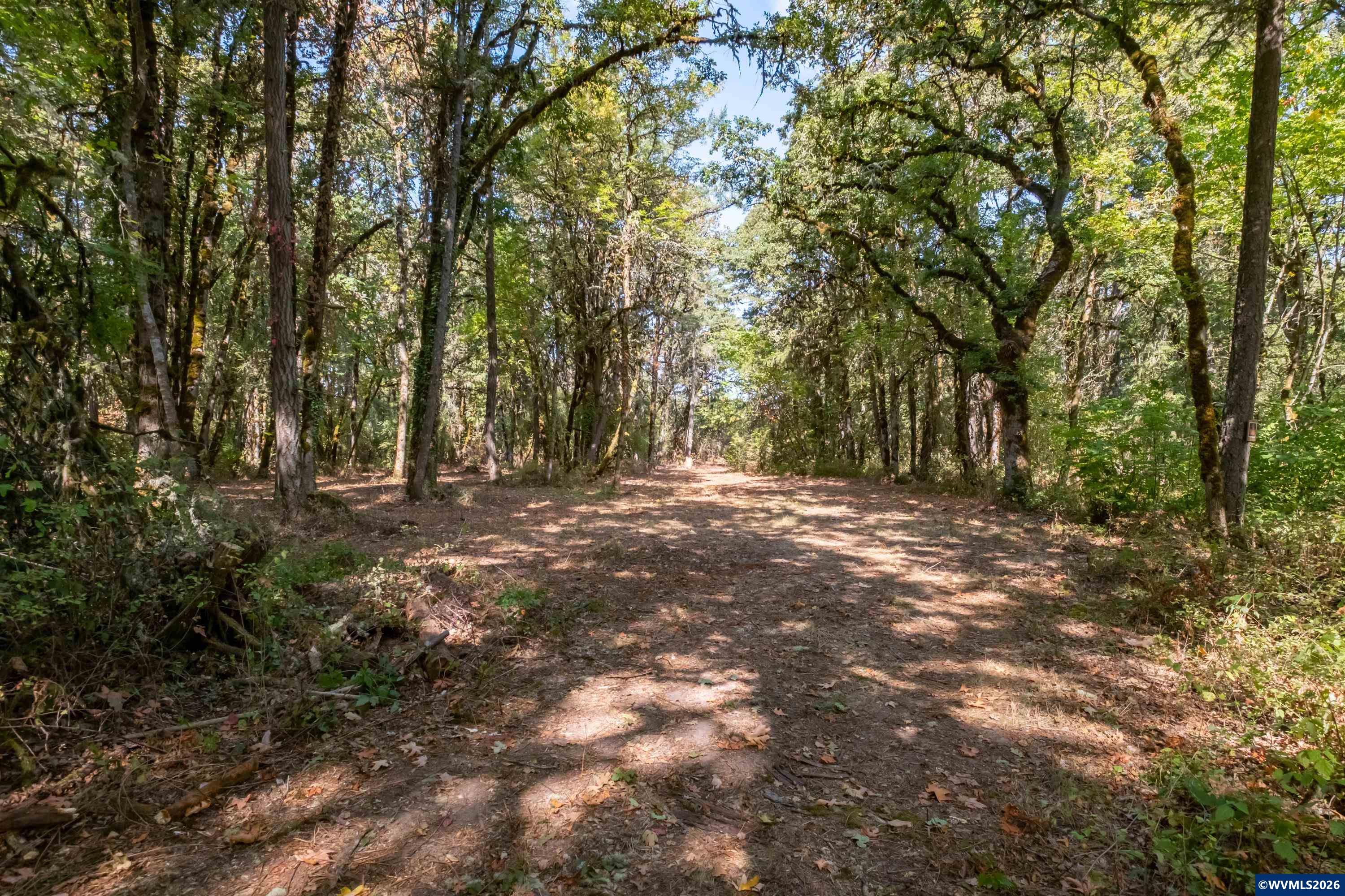 Pp2020-49 Lot#2 North Pp2020-49 Road Albany, OR 97321 - Photo 22 of 36