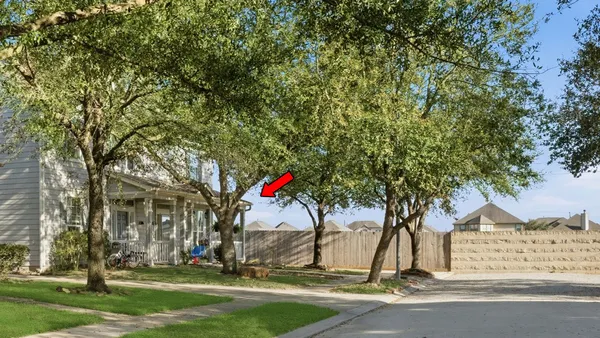 a picture of trees