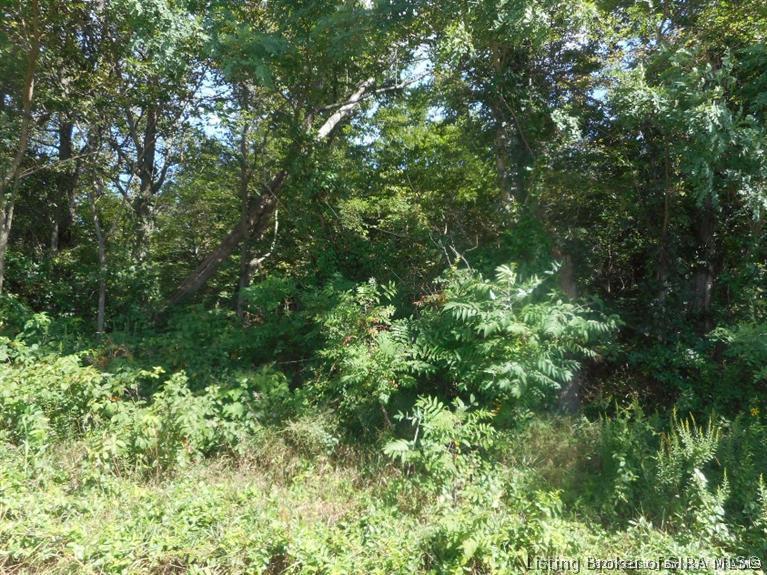 0 North Robin Road Pekin, IN 47165 - Photo 1 of 9
