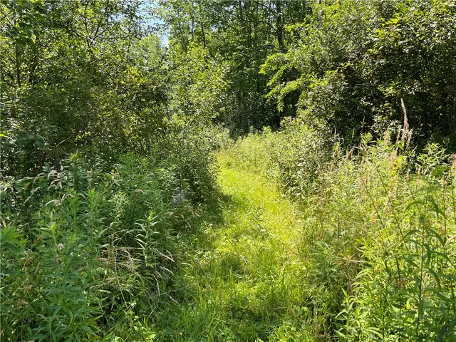 $239,900 | 3000 Tom Campbell Road, Jerusalem, NY 14418