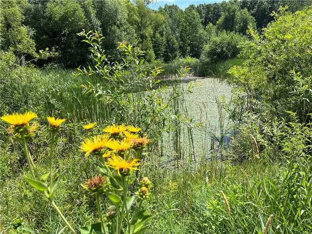 $239,900 | 3000 Tom Campbell Road, Jerusalem, NY 14418