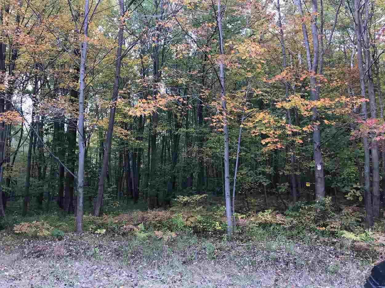 18945 Ithaca Road Brant, MI 48614 - Photo 3 of 5