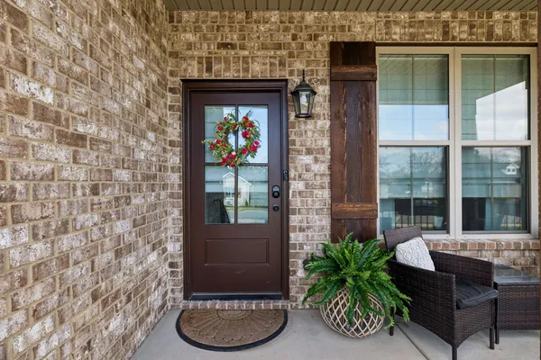 a potted plant sitting in front of a house