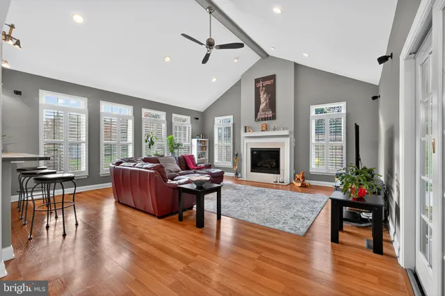 a living room with furniture potted plant floor to ceiling window and a fireplace