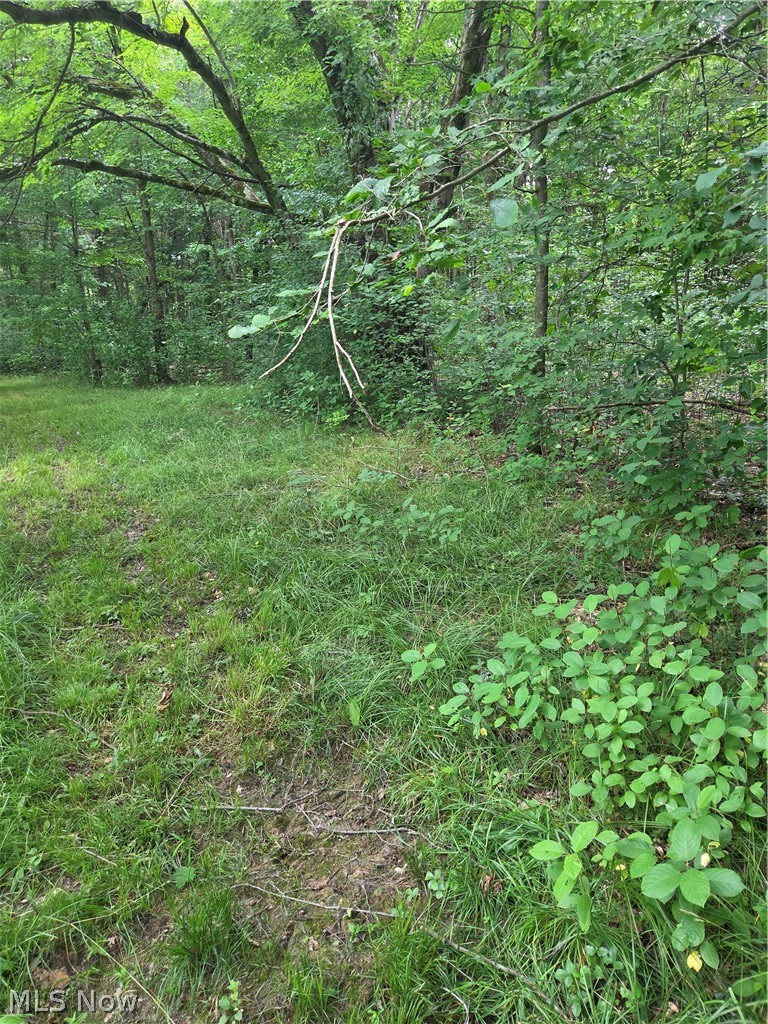 4146 New Hudson Road Orwell, OH 44076 - Photo 38 of 43
