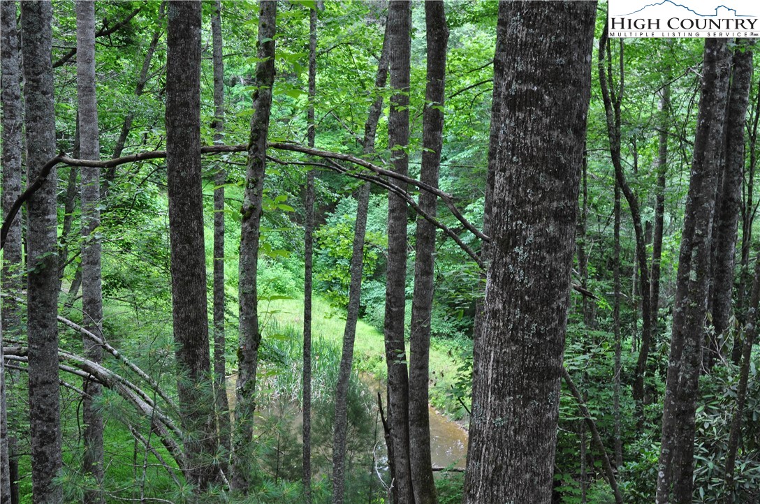 Lot 3 Sec 11 Talons Drive Boone, NC 28607 - Photo 16 of 18 a view of a lush green forest