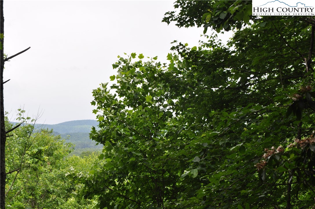 Lot 3 Sec 11 Talons Drive Boone, NC 28607 - Photo 3 of 18 a backyard of a house with lots of green space