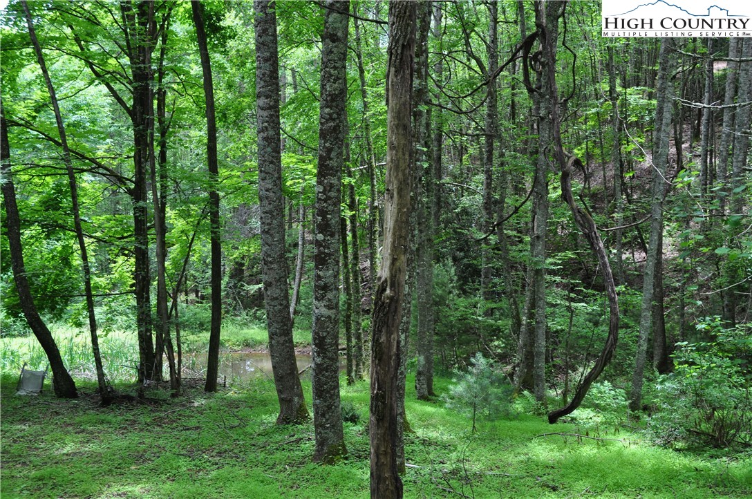 Lot 3 Sec 11 Talons Drive Boone, NC 28607 - Photo 5 of 18