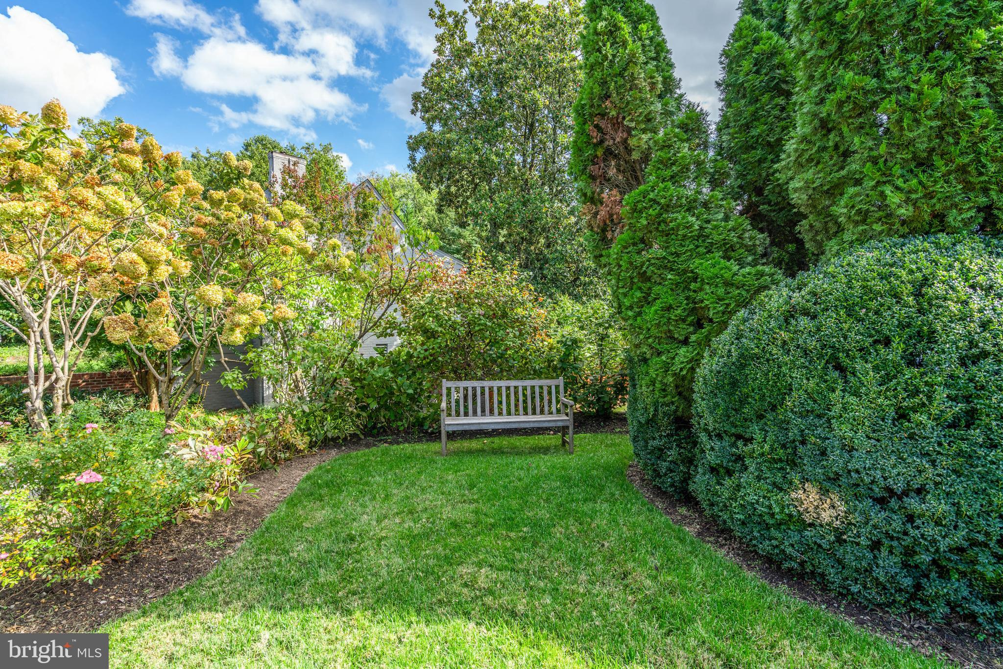 4509 Wetherill Road Bethesda, MD 20816 - Photo 87 of 89 a view of a backyard with potted plants and large trees