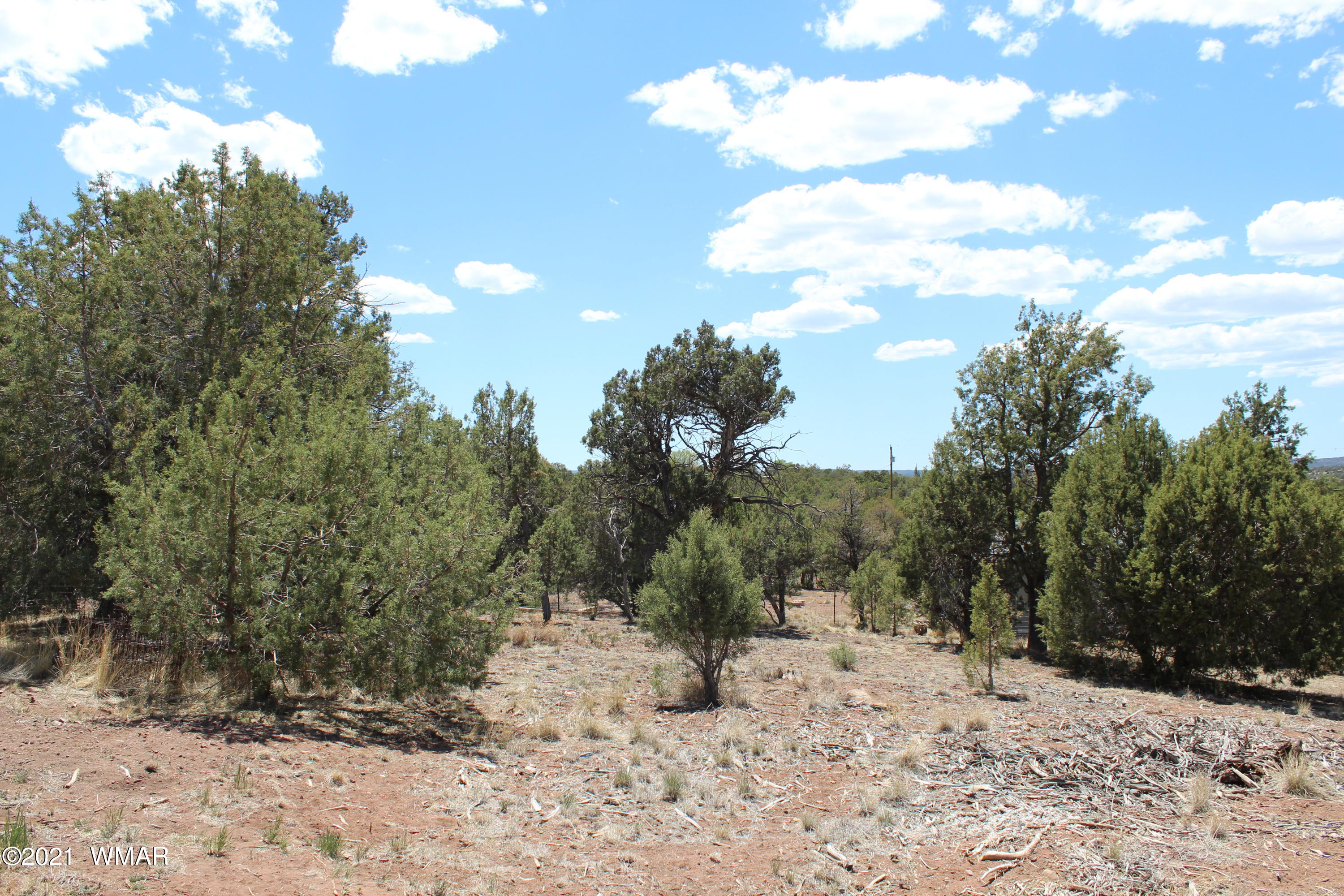 2139 Graphite Road Clay Springs, AZ 85923 - Photo 38 of 40 Gallery Image 38