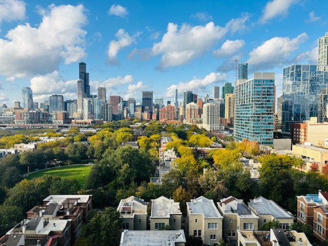 1530 South State Street, Unit 1004 Chicago, IL 60605 - Photo 18 of 38 a view of a city
