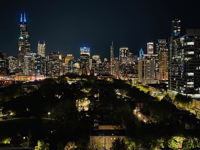 1530 South State Street, Unit 1004 Chicago, IL 60605 - Photo 20 of 38 a city view of a city