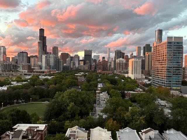 1530 South State Street, Unit 1004 Chicago, IL 60605 - Photo 35 of 38 a city view with lot of high rise buildings